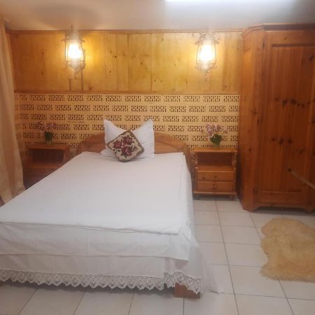 Apartament Pe Malul Raului Bega Timişoara Exterior foto
