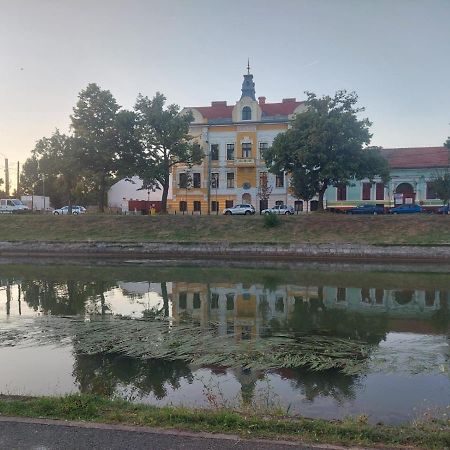 Apartament Pe Malul Raului Bega Timişoara Exterior foto