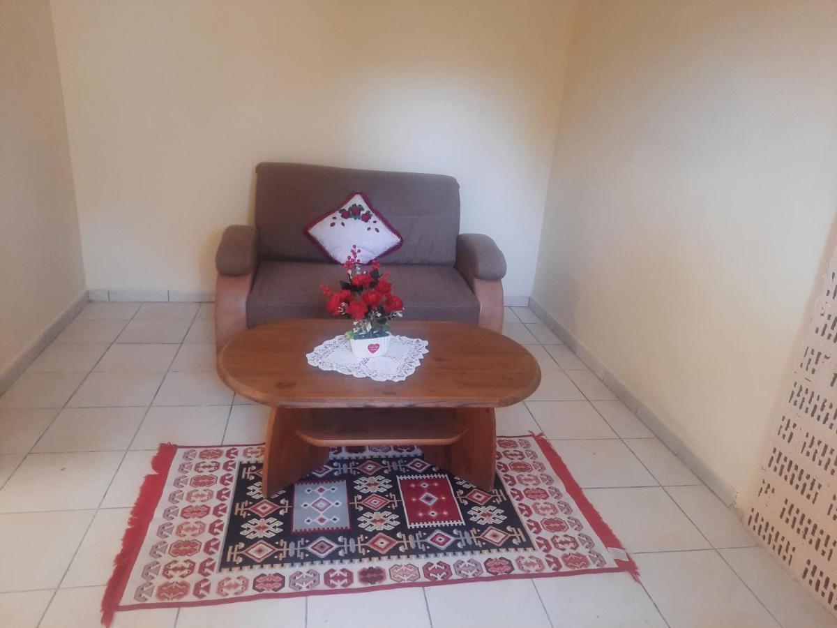 Apartament Pe Malul Raului Bega Timişoara Exterior foto