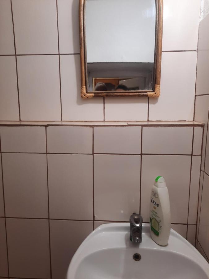 Apartament Pe Malul Raului Bega Timişoara Exterior foto